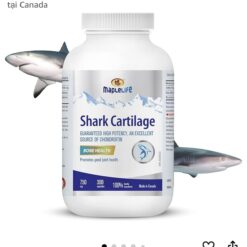Shark Cartilage - Sụn cá mập - Viên uống phục hồi và tái tạo mô sụn khớp - 300 viên - date 07/2028